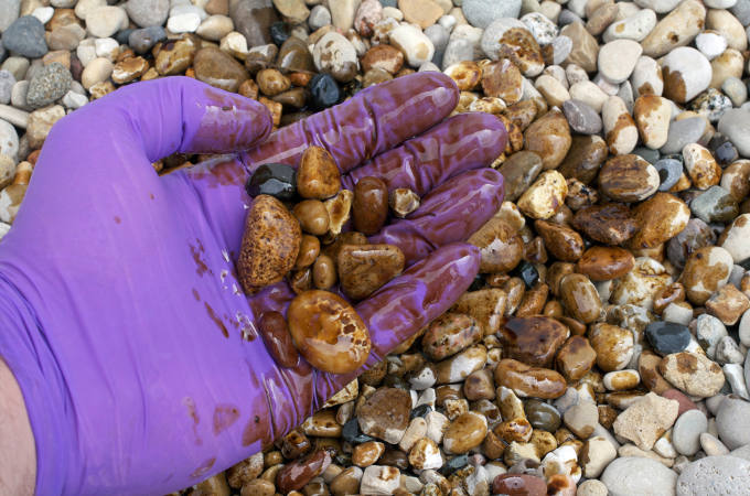 An oil cleanup worker holds contaminated rocks